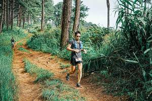 BIB: 
                            <button type="button" onclick="openModal(25659085)" class="btn btn-primary btn-sm float-right btn-popup" data-toggle="modal" data-target=".modal-high-quality">
                        <i class="fas fa-shopping-cart"></i> Add to Cart
                    </button>
                                            <button type="button" onclick="isThisMe(25659085, true)" class="btn btn-success btn-sm float-right btn-popup btn-isme hidden" data-toggle="tooltip" data-placement="bottom" title="นี่คือรูปของคุณใช่ไหม คลิกที่นี่เพื่อเอาเข้าอัลบั้ม">
                        <i class="fas fa-plus"></i> Add to album
                    </button>
                    <button type="button" onclick="isThisMe(25659085, false)" class="btn btn-warning btn-sm float-right btn-popup btn-isnotme hidden">
                        <i class="fas fa-ban"></i> Remove from album
                    </button>